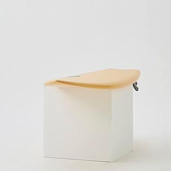 Amazon | Beach Access ソフトボード サーフボード 5'6” 36L レトロ